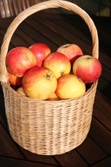 Basket with James Grieve apples, a kind of Swedish apples
