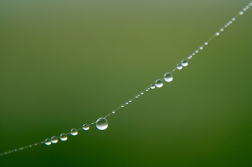 A String of Pearls