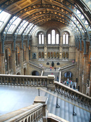 Natural History Museum, London