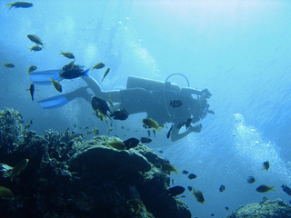 Scuba diving adventure