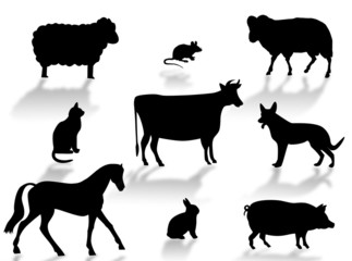 Animali da fattoria