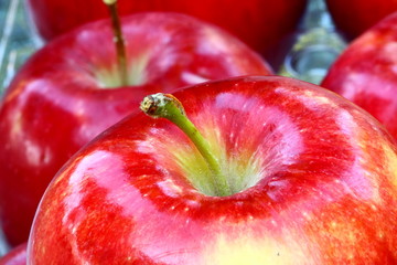 apples