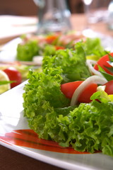 Fresh salad