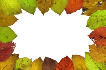 cornice di foglie d'autunno