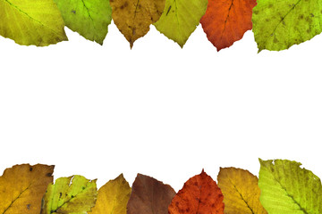 cornice di foglie d'autunno sotto-sopra