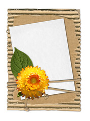 summery frame with yellow flower