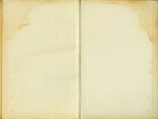 yellowed paper sheet from old book - obrazy, fototapety, plakaty