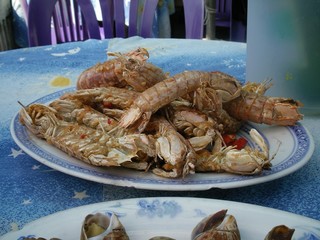 Crevettes mantes religieuses de chine