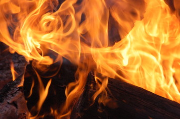 Swirling Flames