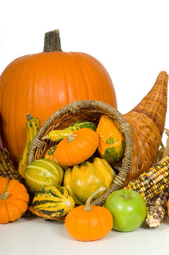 Cornucopia