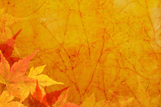Vintage canvas background with  autumn leaves.
