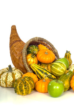 Cornucopia
