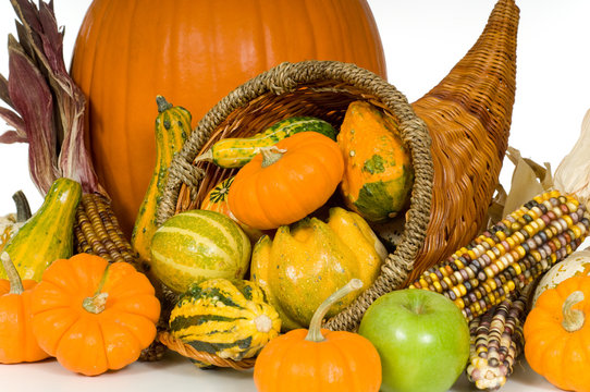 Cornucopia