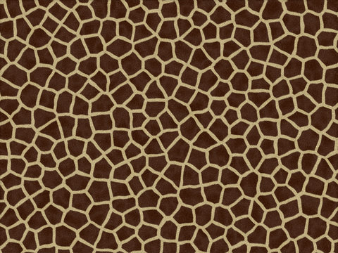 Skin of a giraffe
