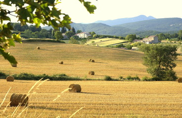 Kornkammer Pyren&auml;en