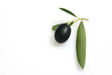 oliva nera con foglia