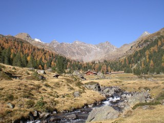 Debanttal5/Herbst