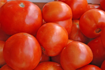 Tomatoes