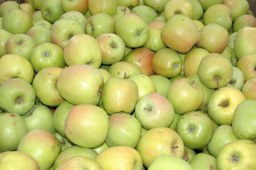 Golden Delicious Apples