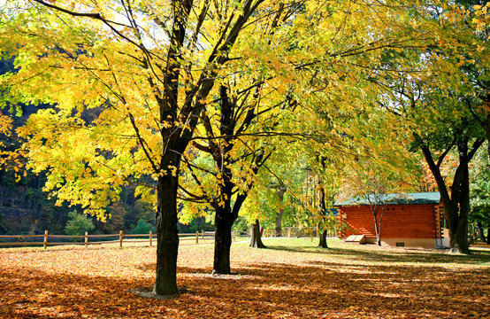 The foliage scenery in New Jersey