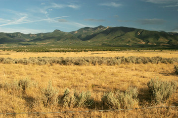 Fototapeta premium Open field