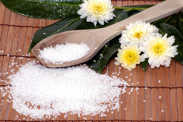 Sauna Wellness Salz