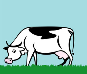 vache