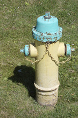Canadian fire hydrant