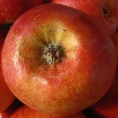 Detail of red apple