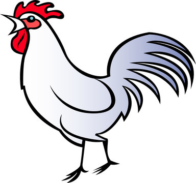 coq