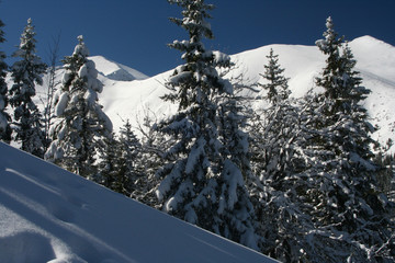 Winter in tatra mountains © pioregur
