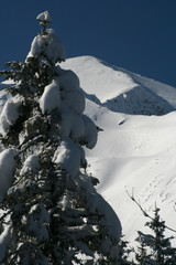 Winter in tatra mountains © pioregur