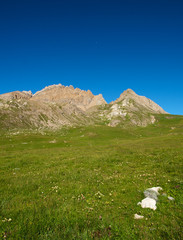 Wiese auf der Alm