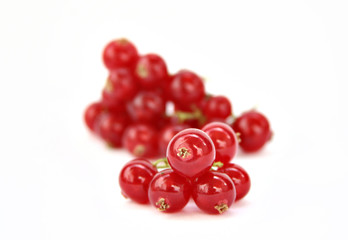 currant
