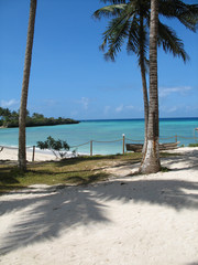 Tropical Island paradise