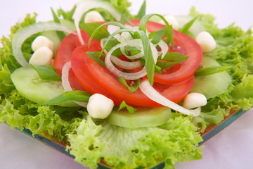Fresh salad with onion tomato and basil