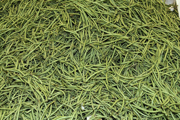 haricots verts