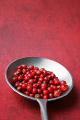 Red pepper 