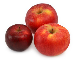 three red apples
