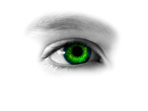 gazing green eye