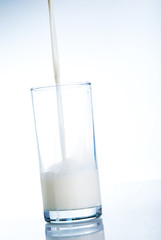 Milk