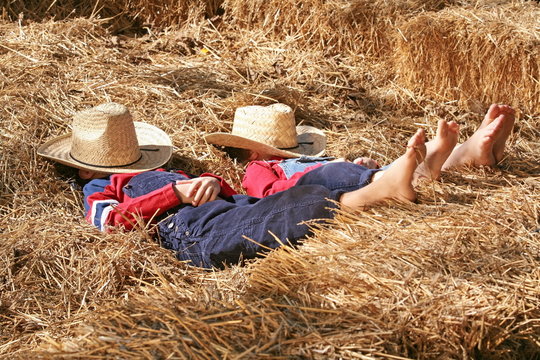 Farmers Asleep in the Hay