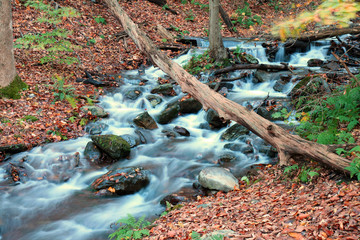 The Douglas Falls