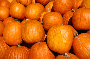 Pumpkins