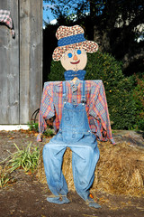 Scarecrow Sitting