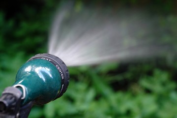 watering