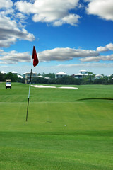 Obraz premium Ball on Green