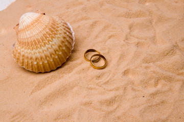 Shell and wedding band in white sand