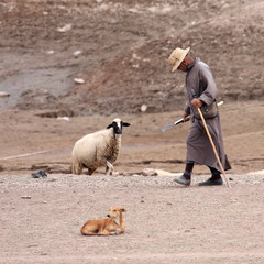 le vieil homme et le mouton