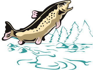 Leaping Brown Trout